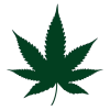 Indica