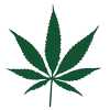 Sativa